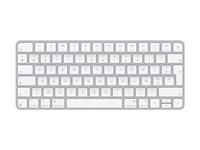 Apple Magic Keyboard - keyboard - USB-C - AZERTY - French Input Device