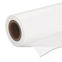 Epson Premium Semigloss Photo Paper, 16,5 inch x 30,5 m, 160g/m²