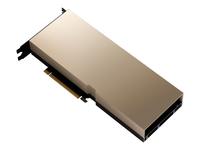NVIDIA A100 - GPU computing processor - A100 Tensor Core - 80 GB HBM2E - PCIe 4.0…