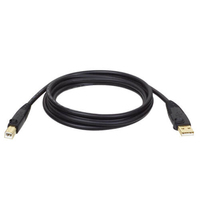 Eaton Tripp Lite Series USB 2.0 A to B Cable (M/M), 15 ft. (4.57 m) - USB cable -…