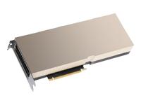 NVIDIA H100 - GPU computing processor - NVIDIA H100 Tensor Core - 80 GB HBM3 - PC…