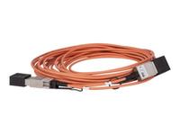 HPE X2A0 - Network cable - CXP to CXP - 10 m - fibre optic - active