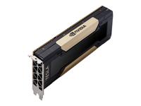 NVIDIA Tesla V100S - GPU computing processor - Tesla V100S HBM2 - PCIe 3.0 x16 - …