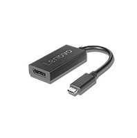 Lenovo 4X90Q93303 video cable adapter 0.2 m USB Type-C DisplayPort Black