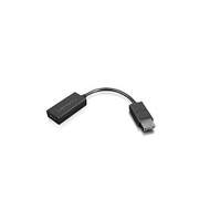 Lenovo 4X90R61023 video cable adapter 0.225 m DisplayPort HDMI Type A (Standard) …