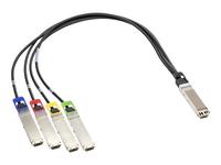 HPE InfiniBand NDR200/Ethernet OSFP to 4