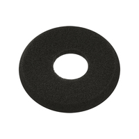 Jabra 10 foam ear cushions GN2000