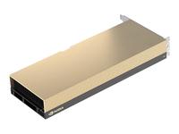 NVIDIA A30 - GPU computing processor - A30 - 24 GB HBM2 - PCIe 4.0 x16 - fanless