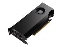 NVIDIA RTX 4000 Ada Generation - Graphics card - RTX 4000 Ada - 20 GB GDDR6 - PCI…