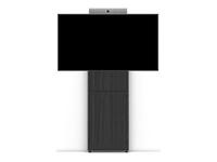 Black finish Fixed Height Wall Mount