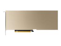 NVIDIA A10 - GPU computing processor - A10 - 24 GB GDDR6 - PCIe 4.0 x16 - fanless