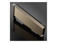 NVIDIA A2 - GPU computing processor - NVIDIA A2 Tensor Core - 16 GB GDDR6 - PCIe …