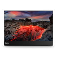 Lenovo ThinkVision M14t Gen 2 LED display 35.6 cm (14 inch) 2240 x 1400 pixels 2.2K T…