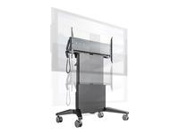 Salamander FPS1XL/EL/GG/EX - Cart - for LCD display - steel